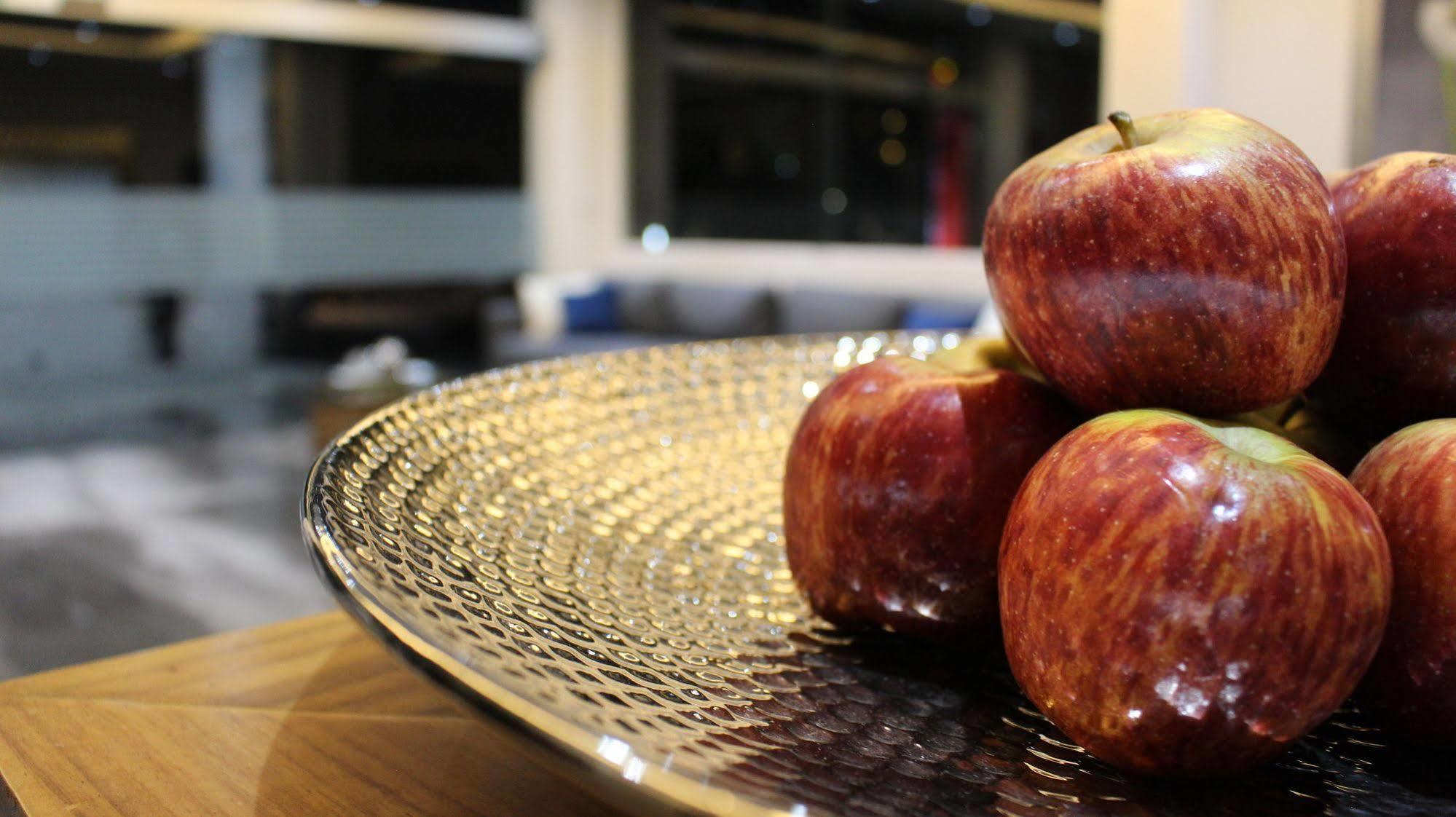 Eco Hotel Guadalajara Expo Dış mekan fotoğraf