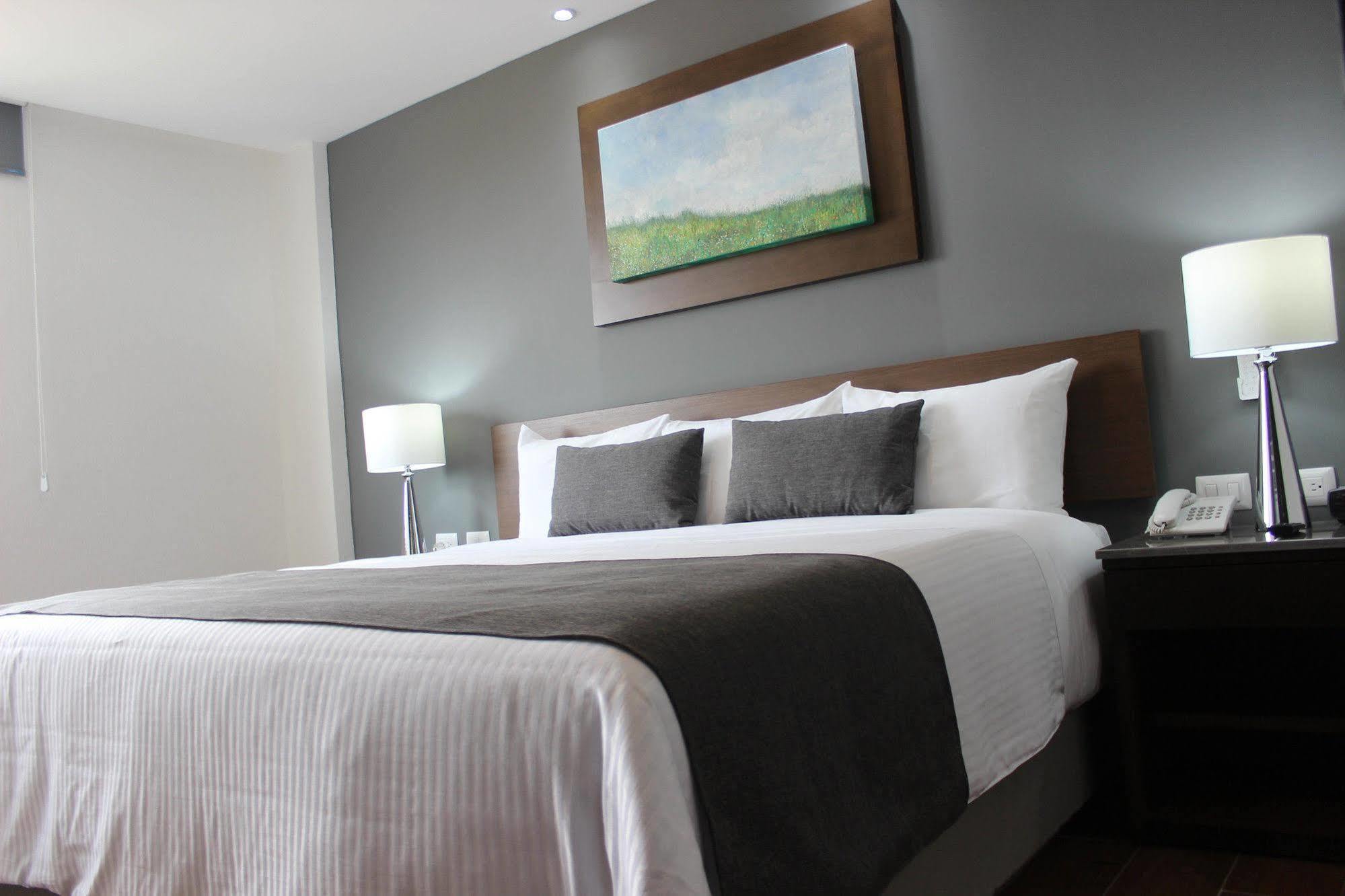 Eco Hotel Guadalajara Expo Dış mekan fotoğraf